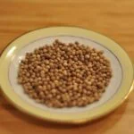 نت گشنیز