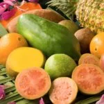 نت میوه های استوایی