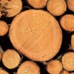 نت روایح چوبی